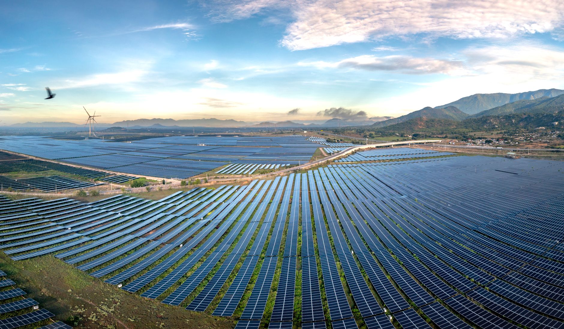 Aerial view of a large solar farm at dawn, representative of the Dholera solar park